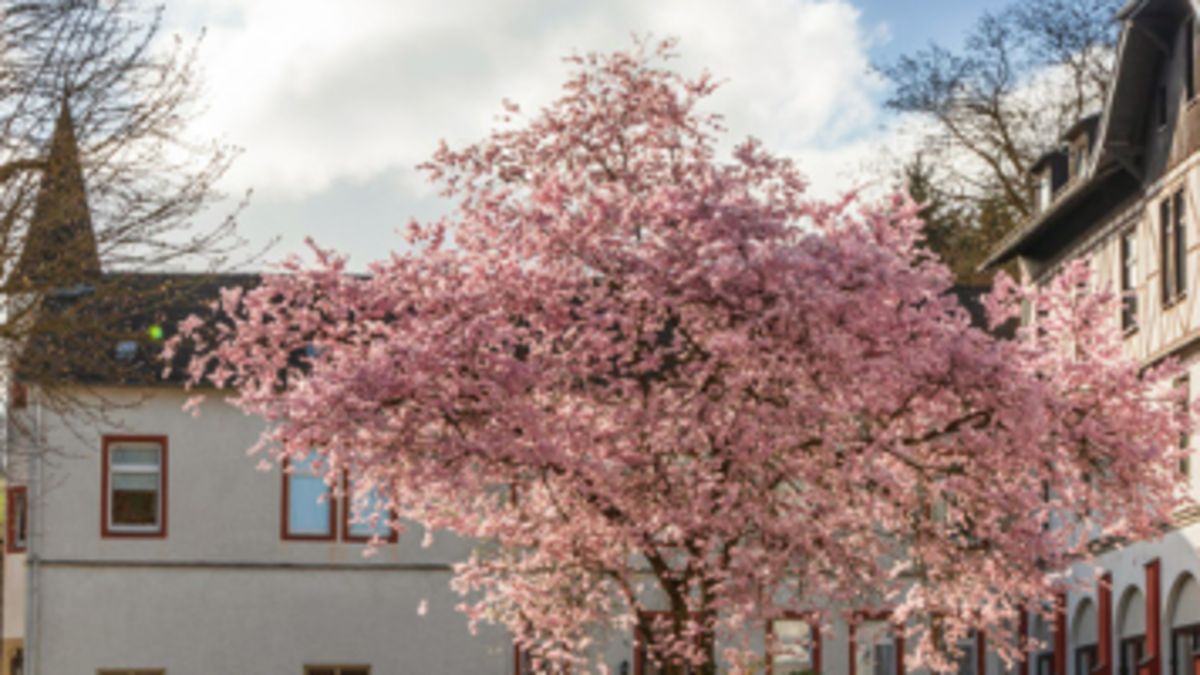 Hilfen im Alter in Rheinbrohl